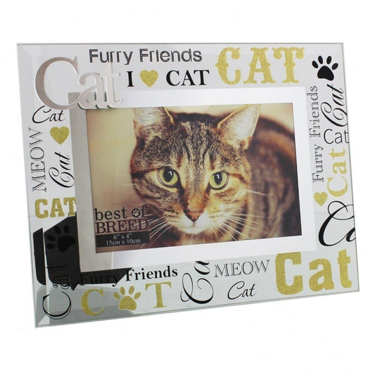 Best of Breed Glass Photo Frame with 3D Words - Cat Image 1