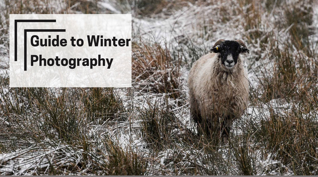 Get the most out of your winter photography