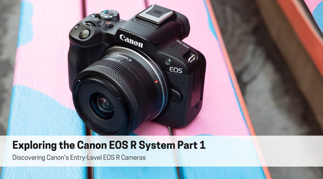 Exploring the Canon EOS R Range Part 1: Discovering Canon's Entry-Leve