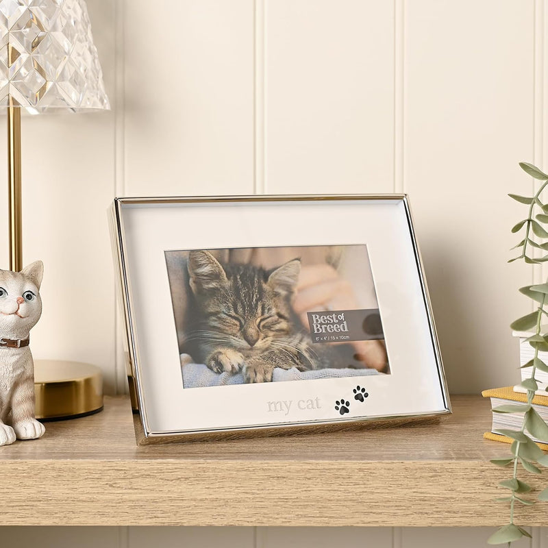 A silver picture frame with a white mat and the text 'my cat' and paw prints, holding a photo of a sleeping tabby cat, styled on a wooden table next to a lamp and a ceramic cat figurine.