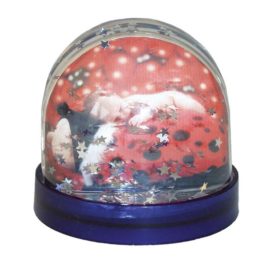 Dorr Photo Snow Globe with Silver Stars Image 1