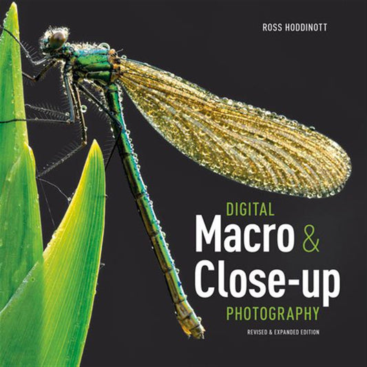 Digital Macro & Close-up Photography - Ross Hoddinott Image 1