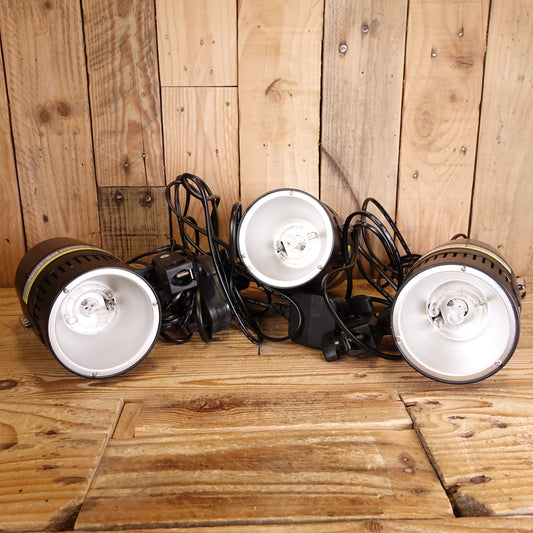 Used Dorr Basic Kit 3x160WsStudio Flash Kit , 3 Heads,  3 Stands, Softboxes