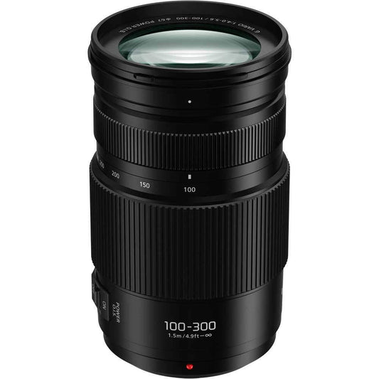 Panasonic 100-300mm f4-5.6 G Mark II Lens