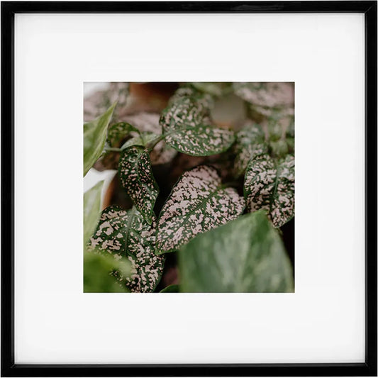 Kenro Strata Photo Frame 16x16 with 10x10 Mat - Black