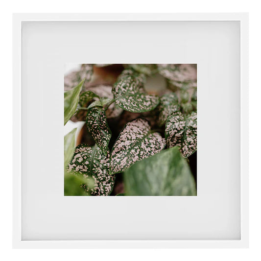 Kenro Strata Photo Frame 10x10 with 5x5 Mat - White